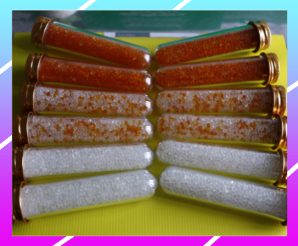 Hạt hút ẩm SanDry Silligel chỉ thị màu